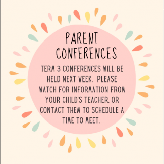 Parent Conference Flyer 